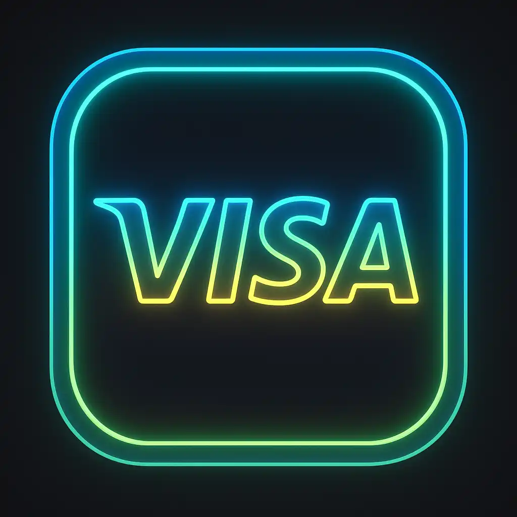 Visa payment icon